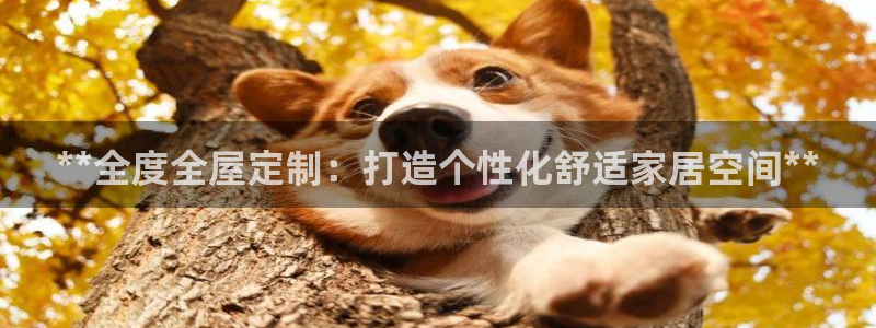 bb电子哪个平台好些