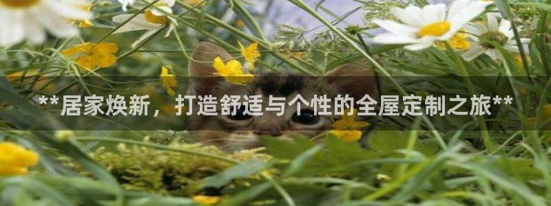 bb电子糖果哪个网站好mg官方电子平台
