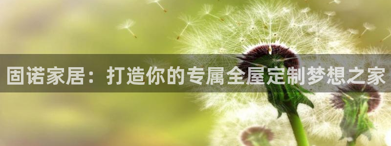 BB电子开户