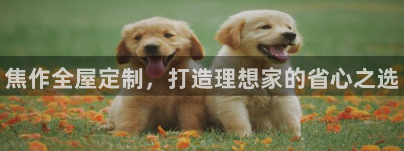 bb电子教育平台