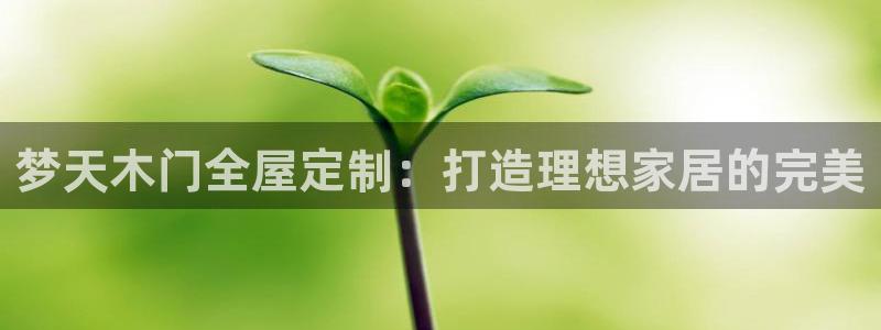 网上bb电子为什么那么假的