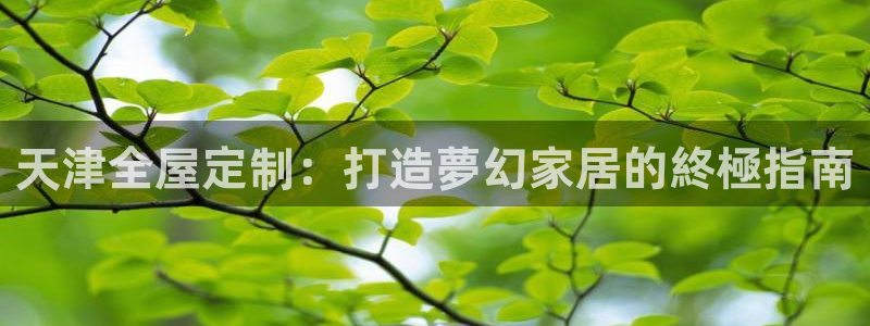 bB电子琴和弦