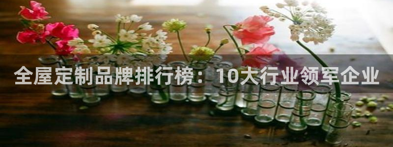 bb电子哪个平台好