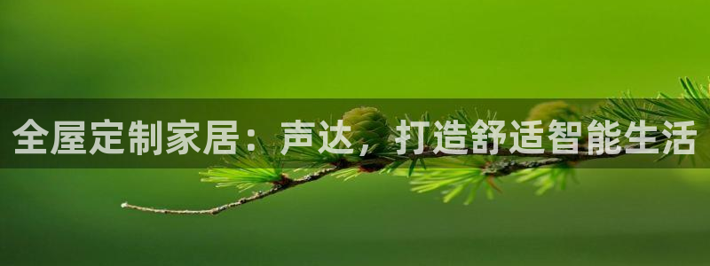 BB电子麻将胡了
