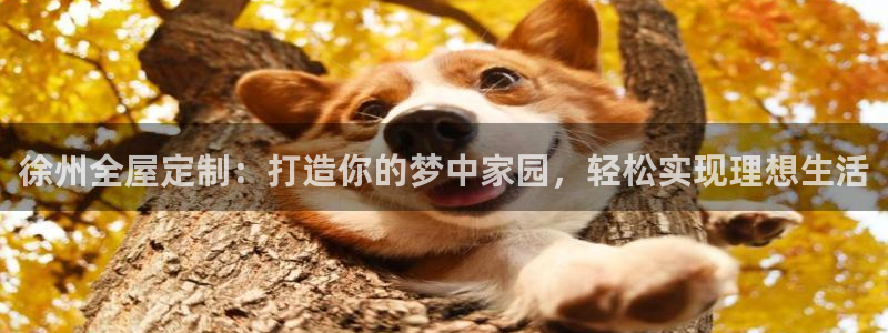 bb电子什么游戏好赢