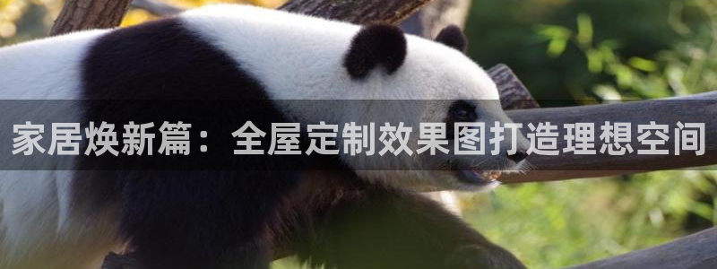 BB电子怪物派对