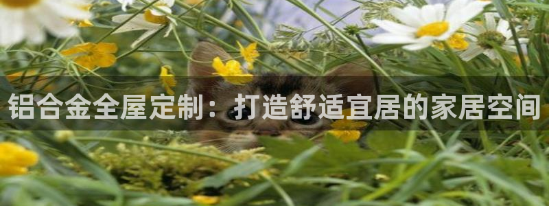bb电子哪个平台好些