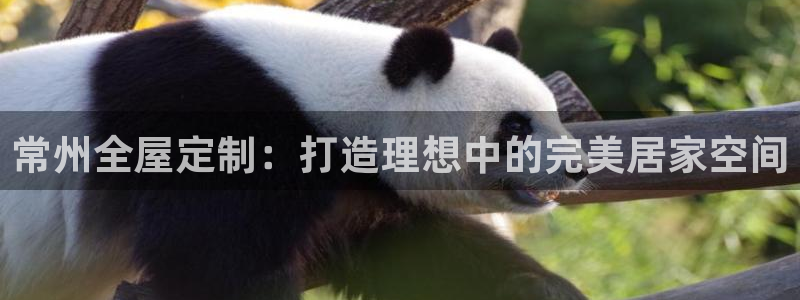 BB电子锁怎么接电