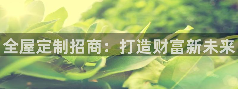 bb电子哪个平台好一点