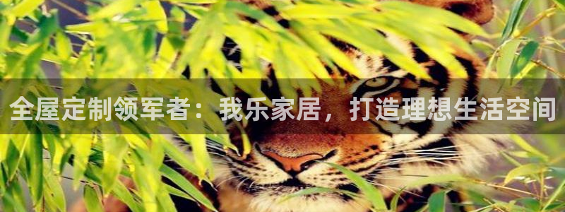 bb电子为什么总赢不了