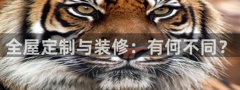 bb电子什么时候容易爆大奖的