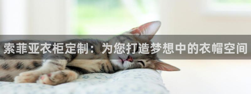 bB电子琴和弦