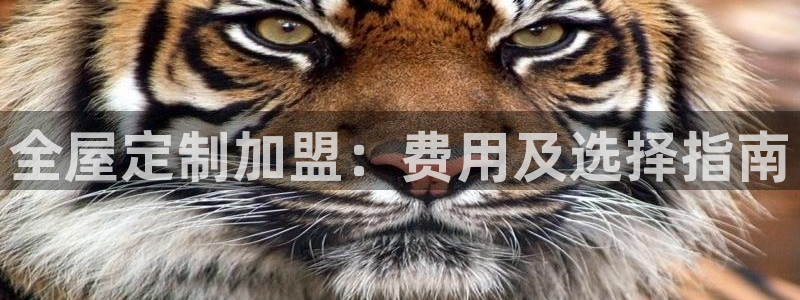 bb电子是怎么控制玩家输赢的