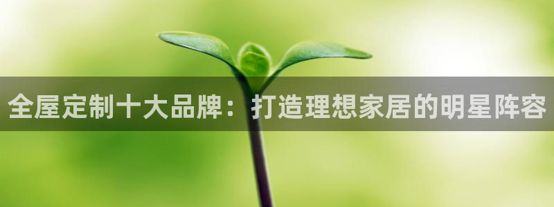 bb电子哪个平台好