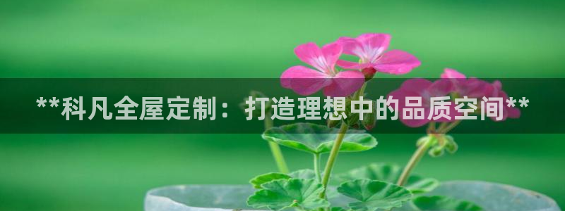 bb电子哪个平台好点