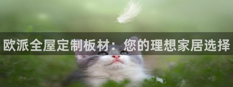 bb电子哪个平台好用一点