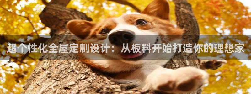 BB电子骗局