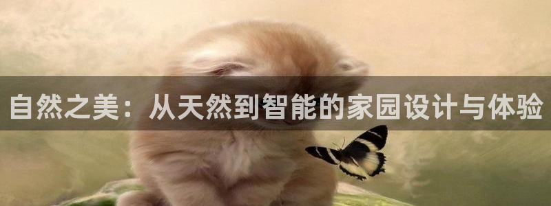 bb电子什么游戏好赢