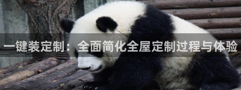 bb电子为什么总赢不了