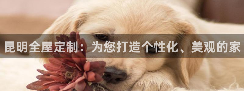 bb电子怎么赢