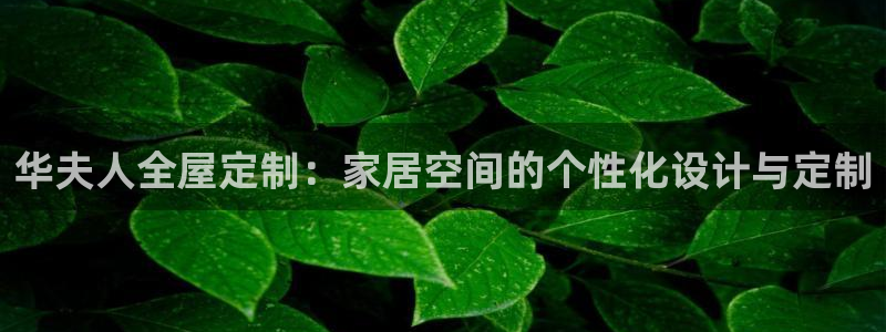 BB电子骗局