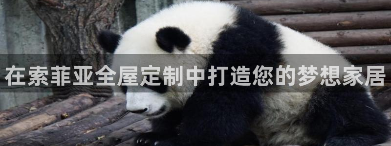 bb电子什么游戏好赢