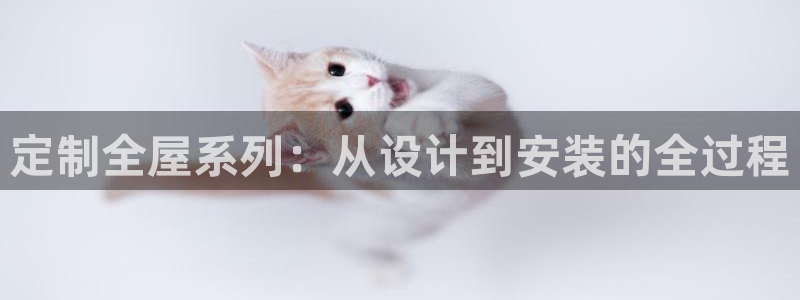 bb电子哪个平台好点