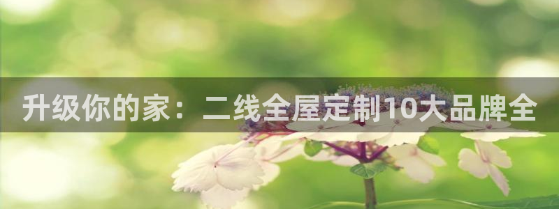 BB电子麻将胡了