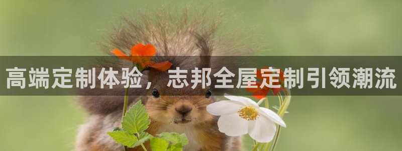 bb电子教育平台