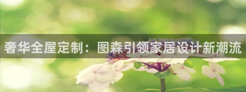 BB电子哪个平台好出款