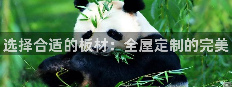 bb电子超级奖池彩金多少钱